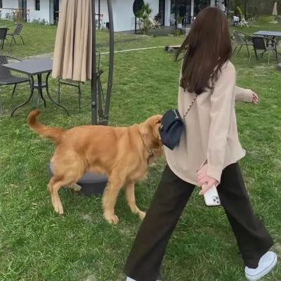 黑白照片的少女